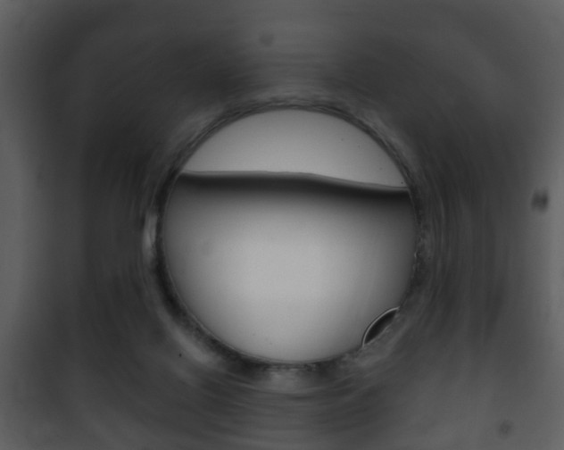 X0000101980070200807180810