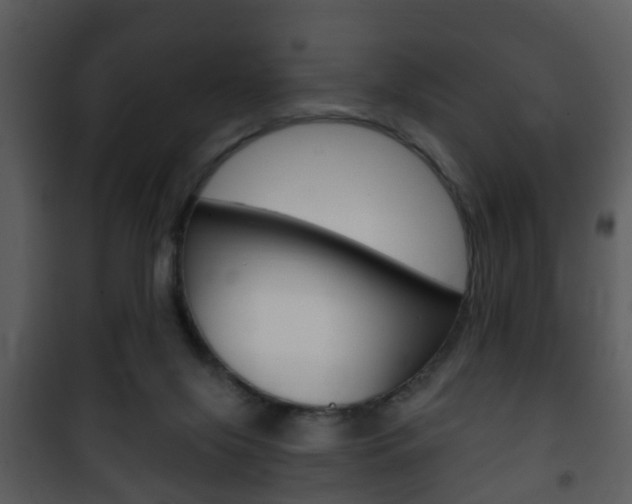 X0000101980071200807180810