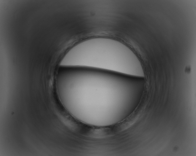 X0000101980072200807180810