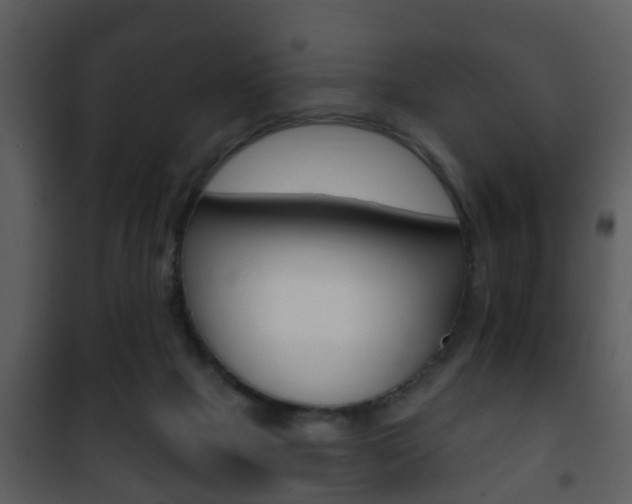 X0000101980073200807180810