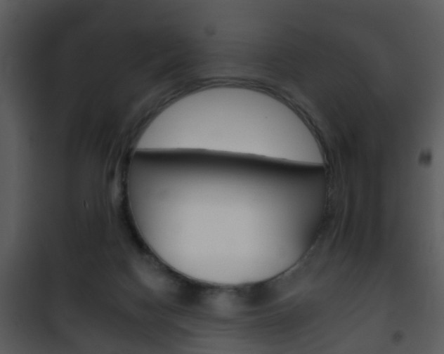 X0000101980074200807180810