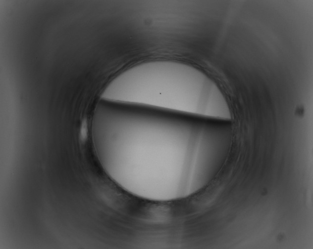 X0000101980075200807180810