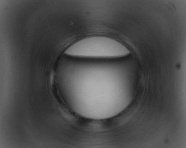 X0000101980076200807180810