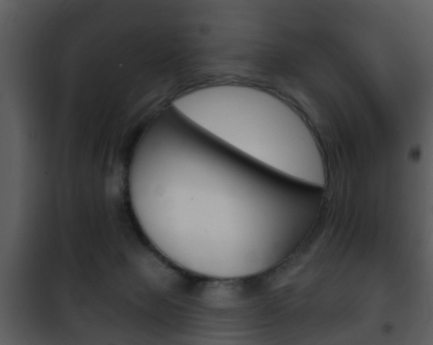 X0000101980077200807180810