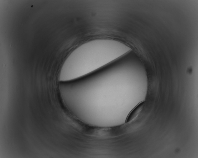 X0000101980078200807180810