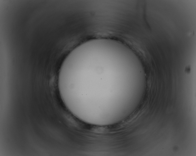 X0000101980079200807180810