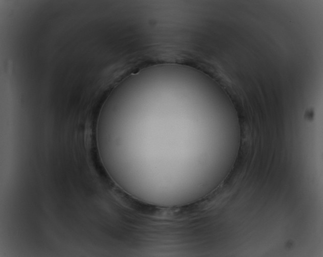 X0000101980080200807180810