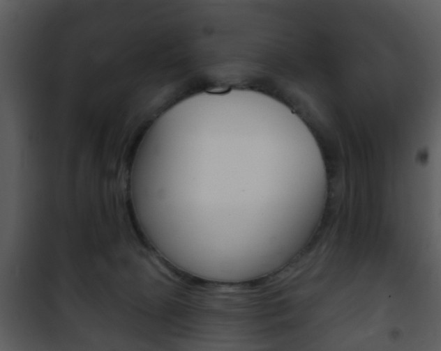 X0000101980081200807180810