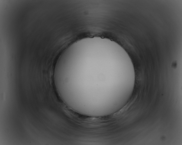 X0000101980082200807180811