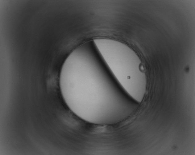 X0000101980083200807180811