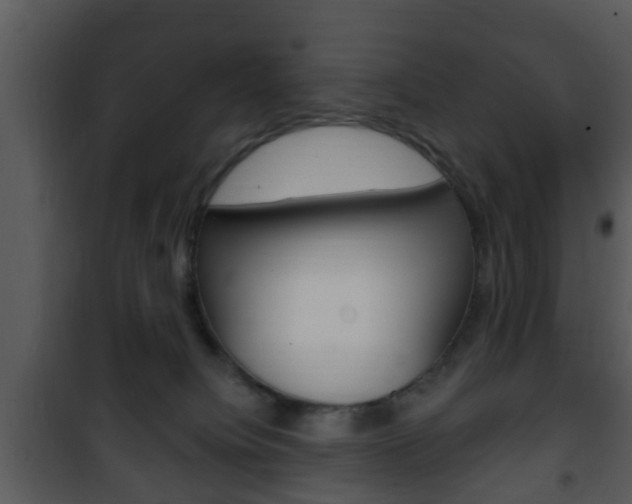 X0000101980084200807180811