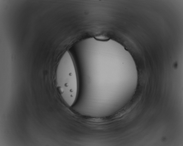 X0000101980085200807180811