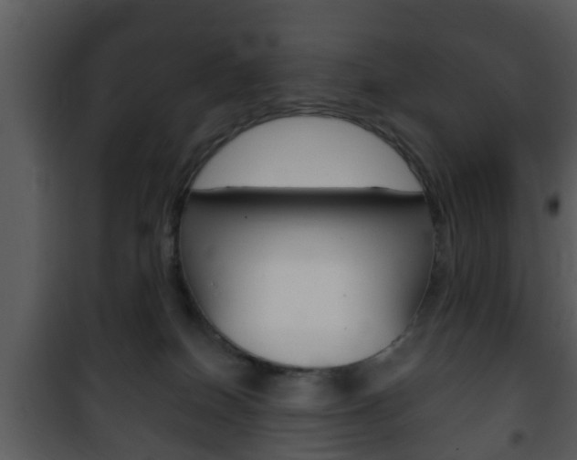 X0000101980086200807180811