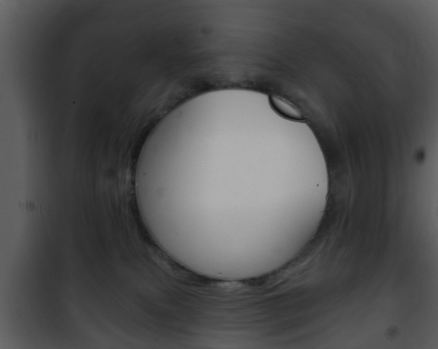 X0000101980087200807180811