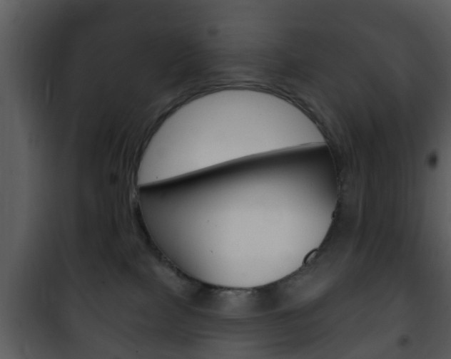 X0000101980089200807180811