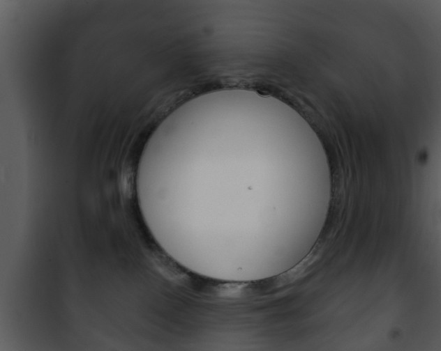 X0000101980090200807180811