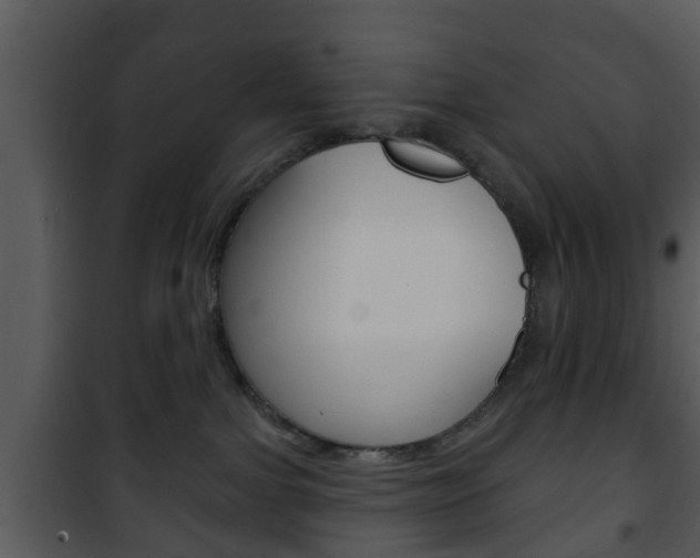 X0000101980091200807180811