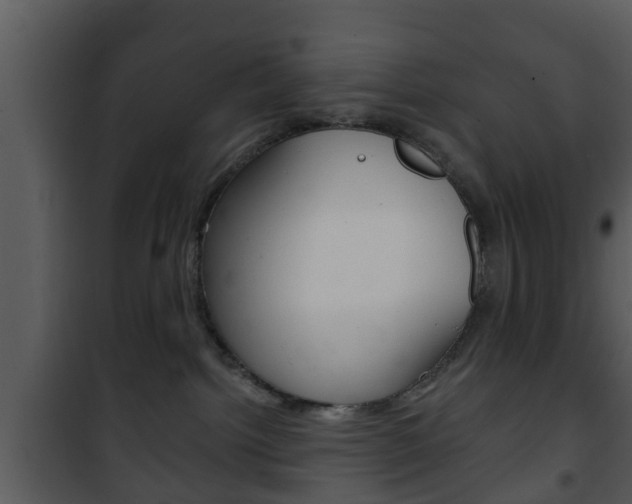 X0000101980092200807180811