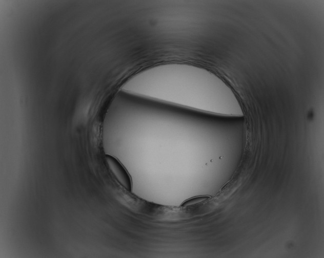 X0000101980093200807180811