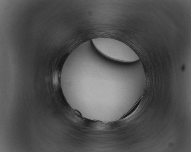 X0000101980094200807180811