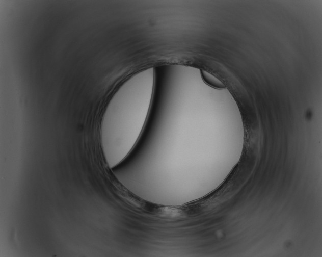 X0000101980095200807180811