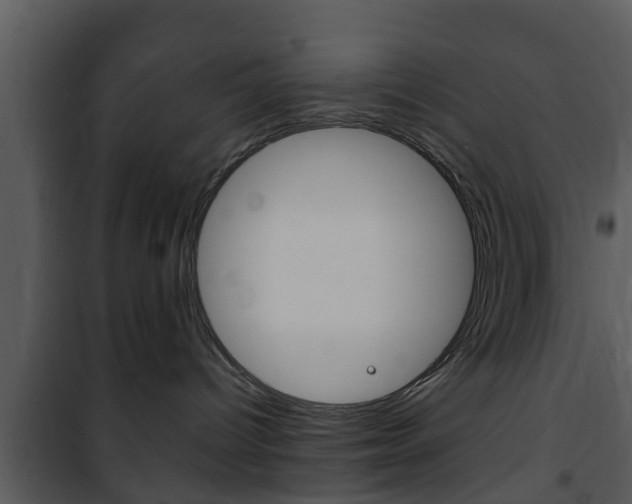 X0000101980096200807180811