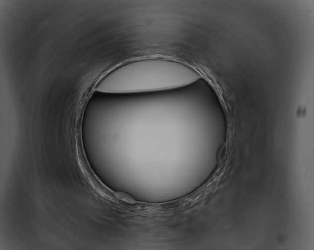 X0000101980097200807180810