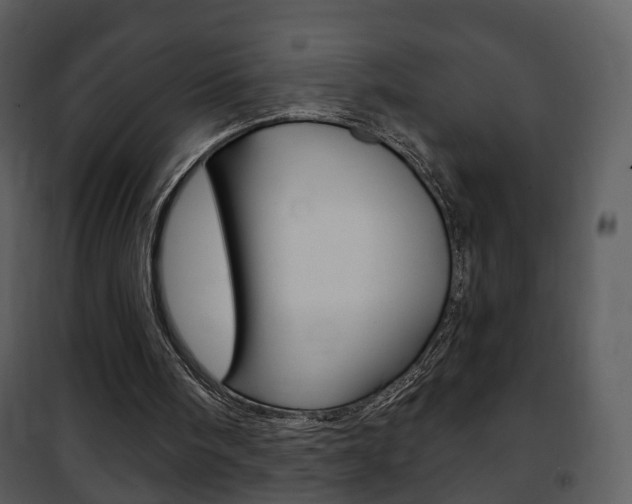 X0000101980098200807180810