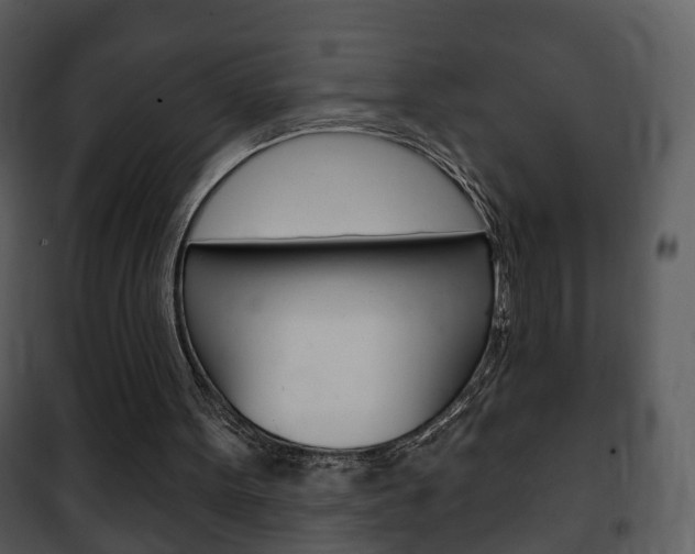 X0000101980099200807180810