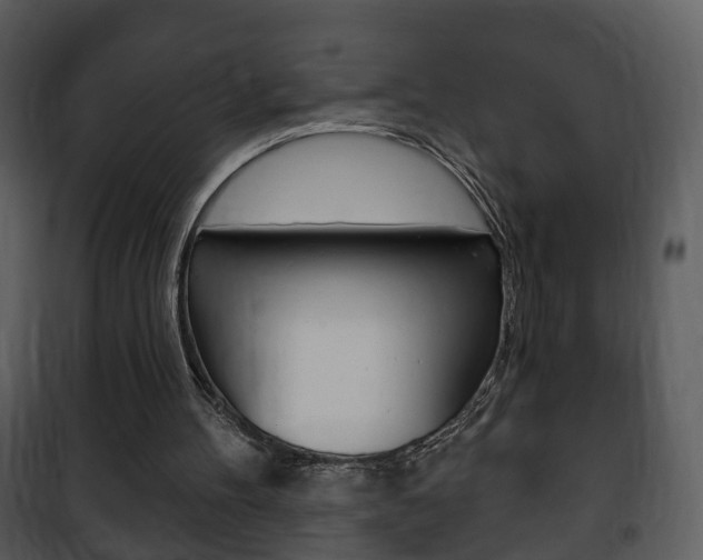 X0000101980100200807180810