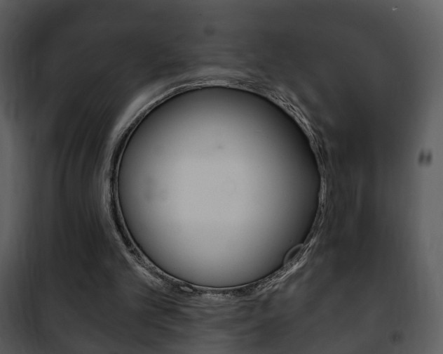 X0000101980101200807180810