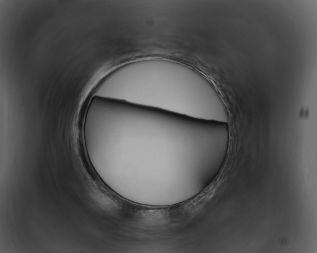 X0000101980102200807180810