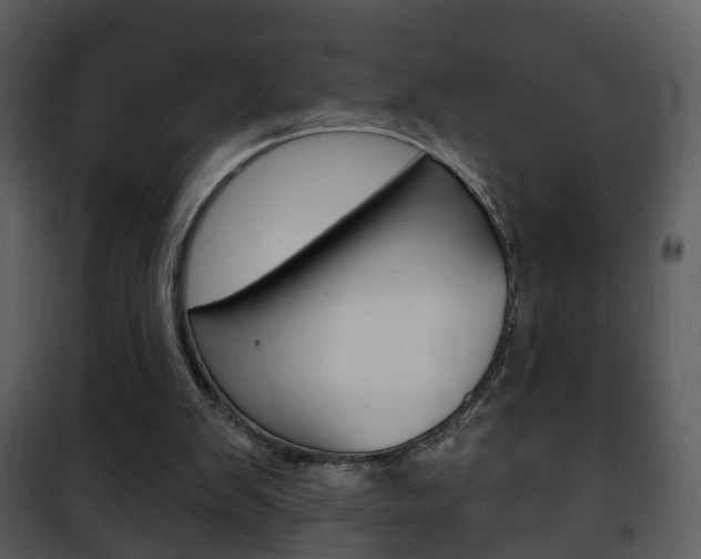 X0000101980103200807180810