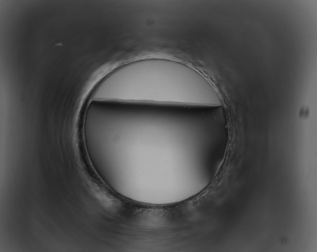 X0000101980104200807180810