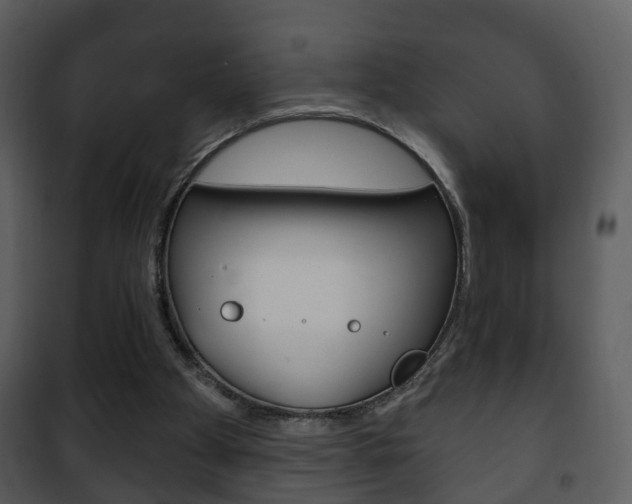 X0000101980105200807180810