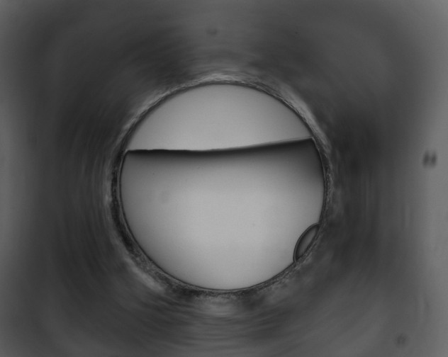 X0000101980106200807180810