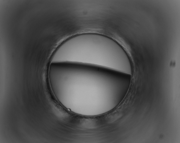 X0000101980107200807180810