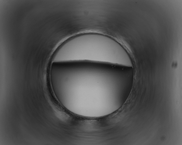 X0000101980108200807180810