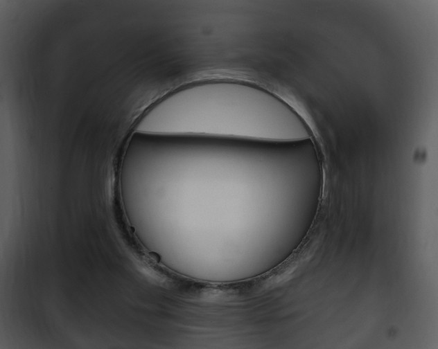 X0000101980109200807180810