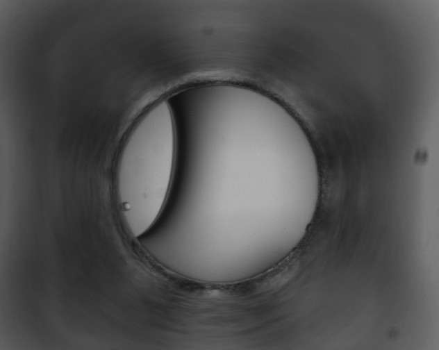 X0000101980111200807180810