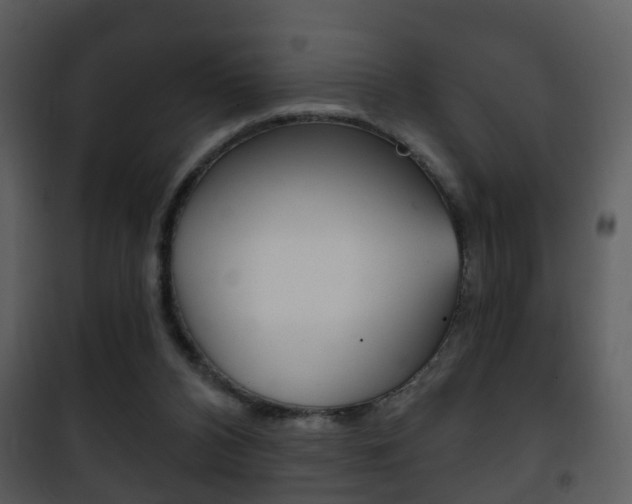 X0000101980112200807180810