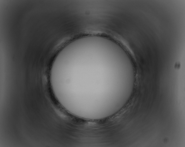 X0000101980114200807180810