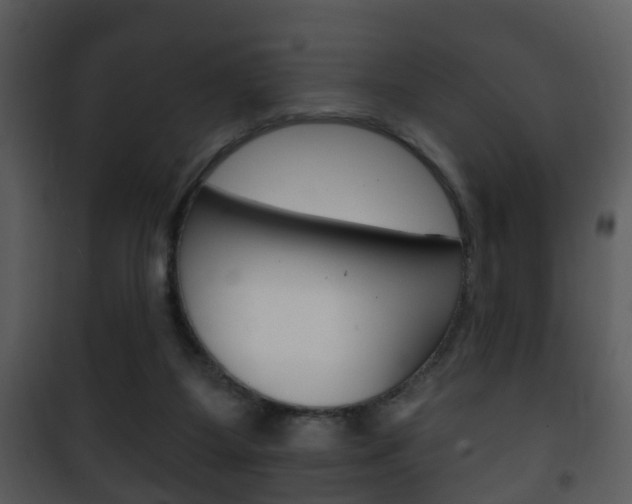 X0000101980115200807180810