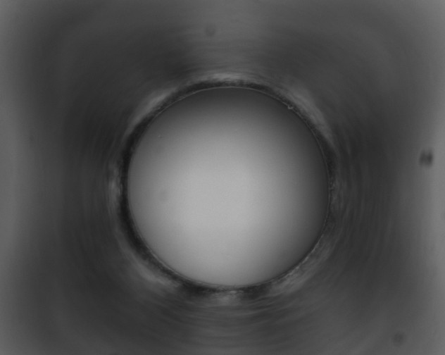 X0000101980116200807180810