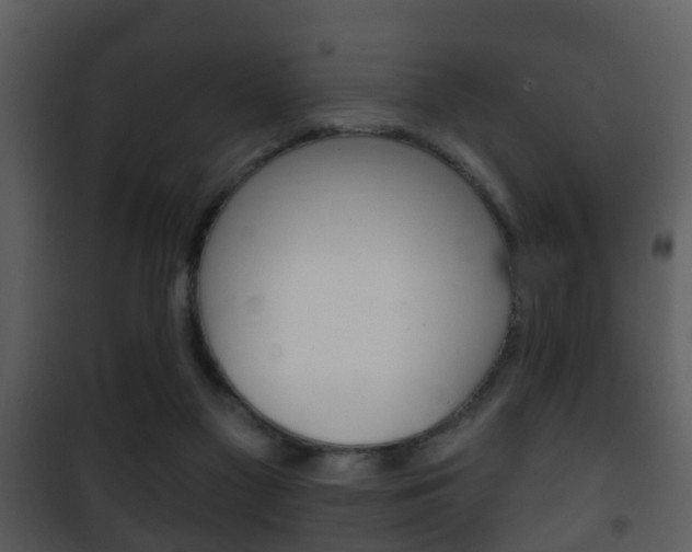 X0000101980117200807180810