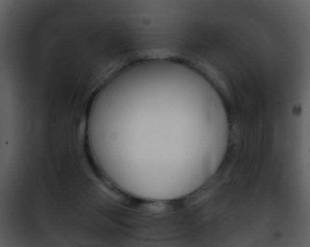 X0000101980118200807180810