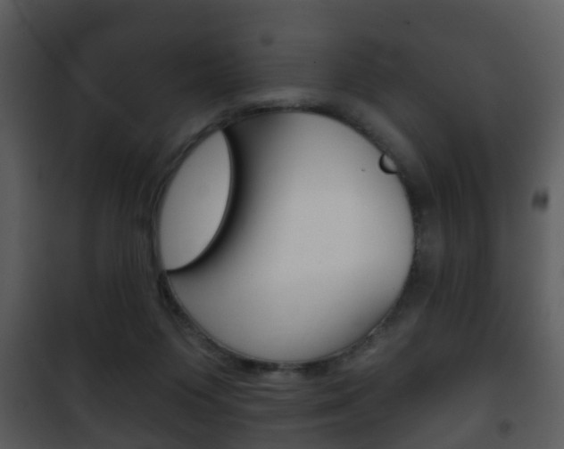 X0000101980119200807180810