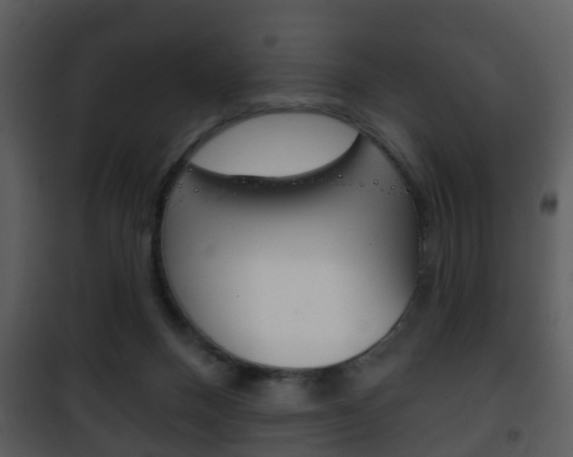 X0000101980120200807180810