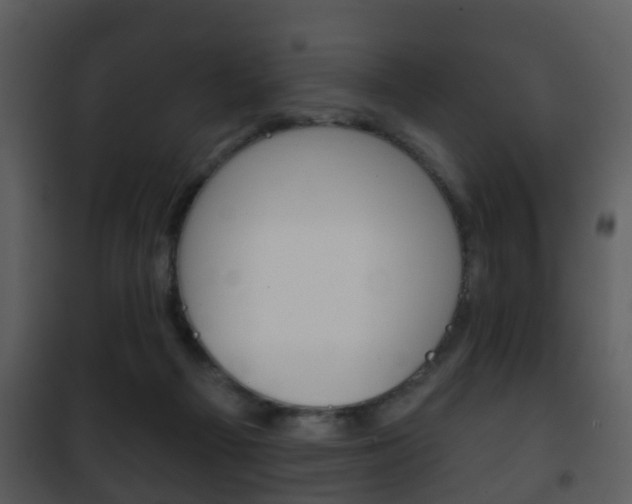 X0000101980121200807180810