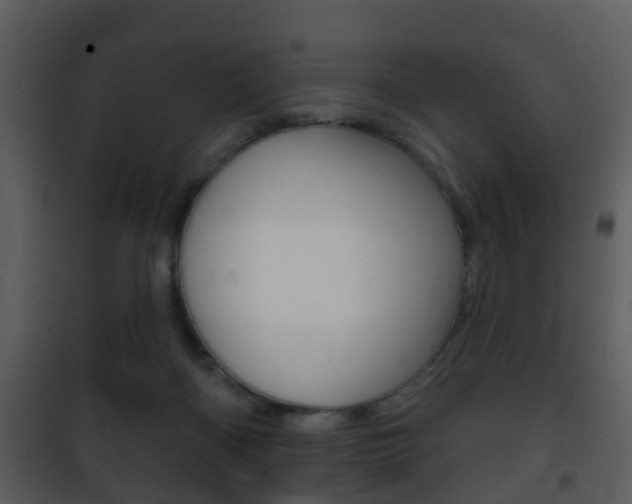 X0000101980122200807180810